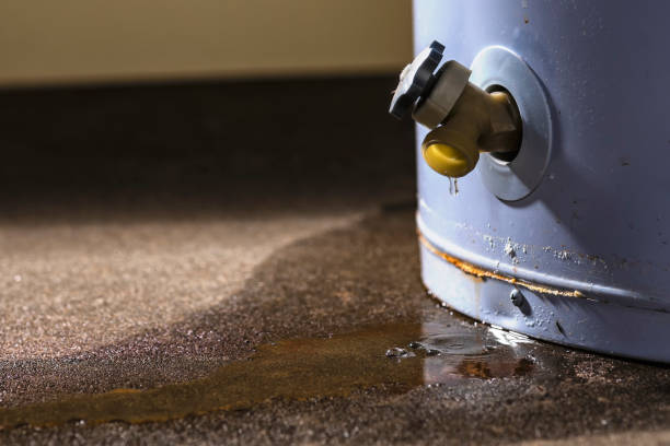 Best Flood restoration services  in Hot Springs, SD