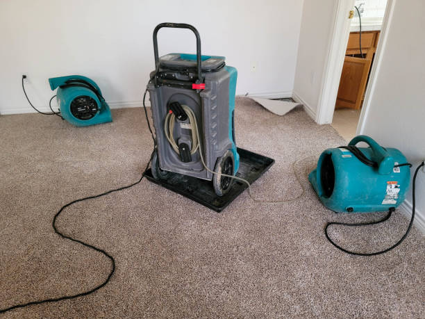 Best Water damage contractors near me  in Hot Springs, SD