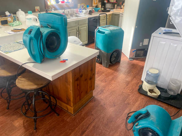 Best Mold removal after water damage  in Hot Springs, SD