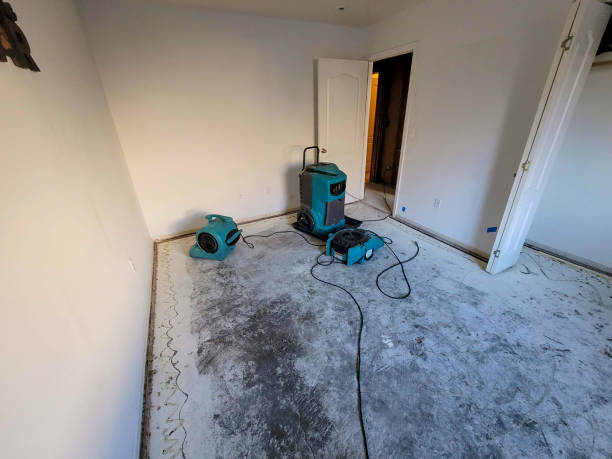 Best Fire Damage Restoration  in Hot Springs, SD