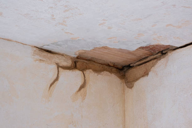 Best Water damage cleanup near me  in Hot Springs, SD