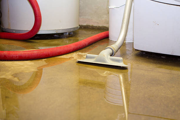 Best 24/7 water damage repair  in Hot Springs, SD