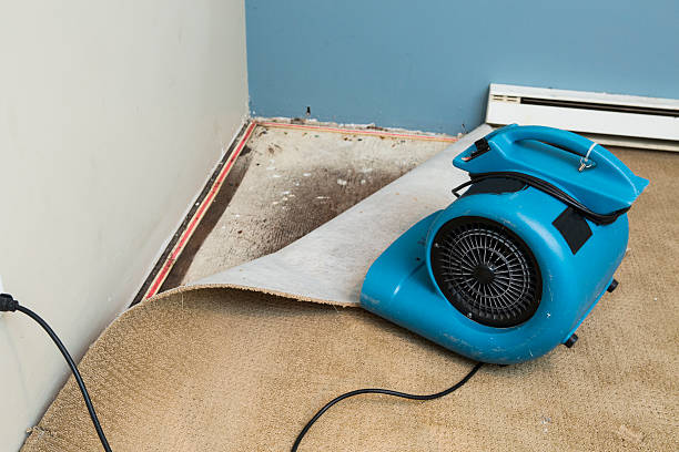  Hot Springs, SD Water damage restoration Pros